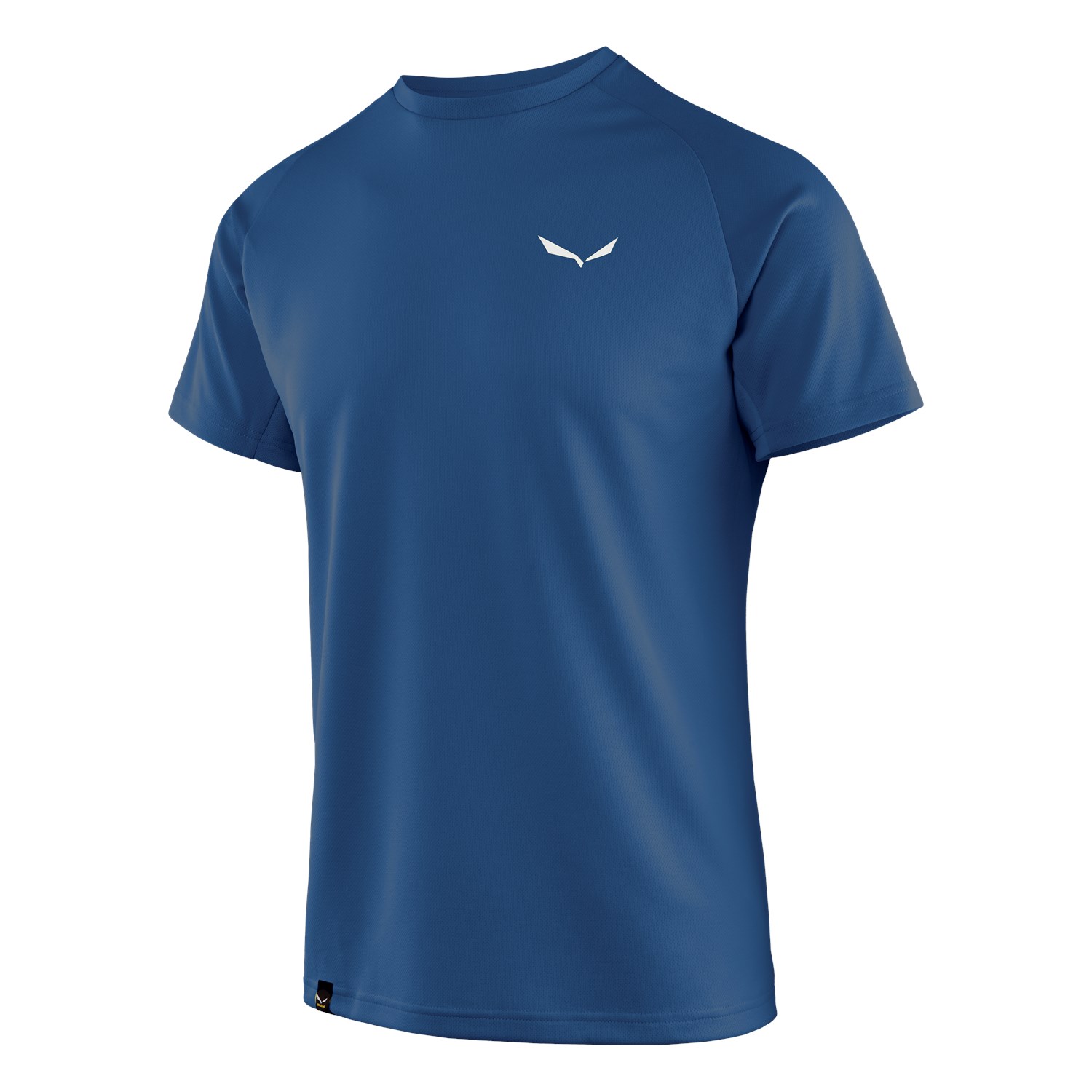 Salewa Sporty B 3 Dry Erkek T-Shirts Mavi Türkiye 396748QKS